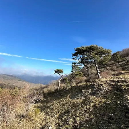 شقة Miron