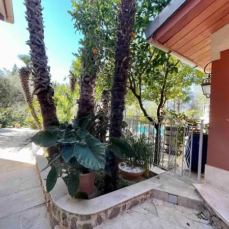 Apartament Miron Mentona