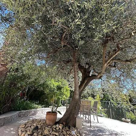 Miron Apartament