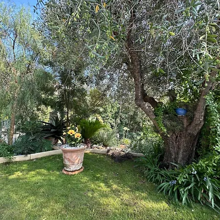 Miron Apartament